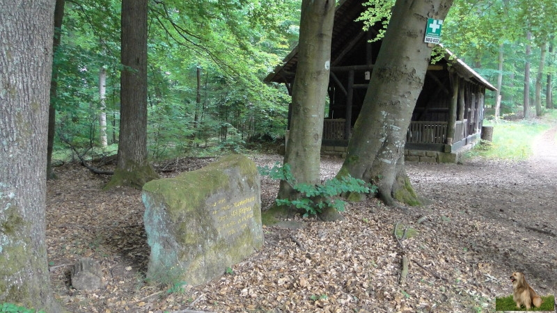 Ritterstein Nr. 304-4 Gewidmet dem Wald- und Wanderfreund Herrn Josef Fichtner Forstmeister in Elmstein 1936 - 1956.JPG - Ritterstein Nr.304 Gewidmet dem Wald- und Wanderfreund Herrn Josef Fichtner Forstmeister in Elmstein 1936 - 1956